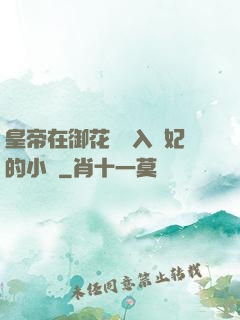 皇帝在御花園進入貴妃的小說