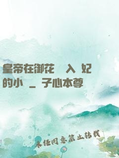 皇帝在御花園進入貴妃的小說