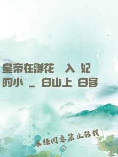 皇帝在御花園進入貴妃的小說