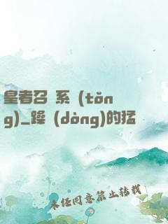 皇者召喚系統(tǒng)