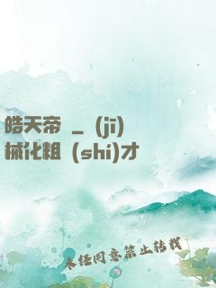 皓天帝輝