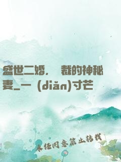盛世二婚，總裁的神秘妻
