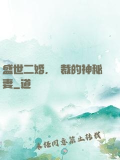 盛世二婚，總裁的神秘妻
