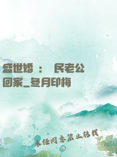 盛世婚寵：國民老公帶回家