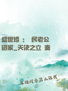 盛世婚寵：國民老公帶回家