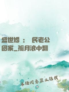 盛世婚寵：國民老公帶回家