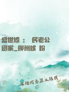 盛世婚寵：國民老公帶回家