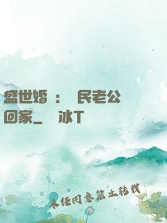 盛世婚寵：國民老公帶回家