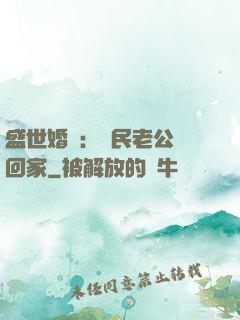 盛世婚寵：國民老公帶回家