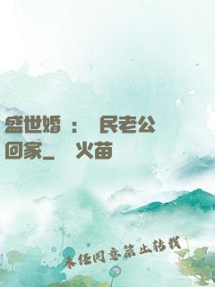 盛世婚寵：國民老公帶回家