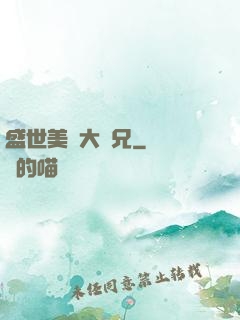 盛世美顏大師兄