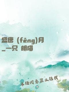 盛唐風(fēng)月