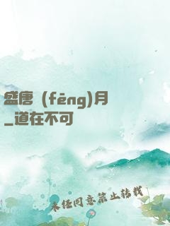 盛唐風(fēng)月