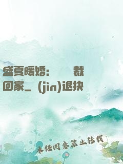 盛夏暖婚：億萬總裁帶回家