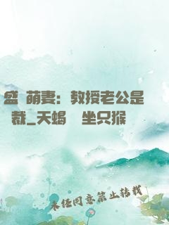 盛寵萌妻：教授老公是總裁