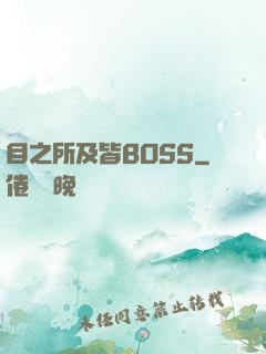 目之所及皆BOSS