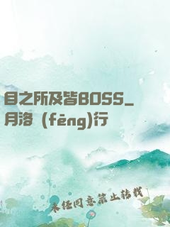 目之所及皆BOSS