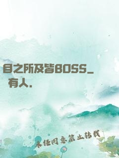 目之所及皆BOSS
