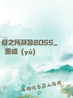 目之所及皆BOSS