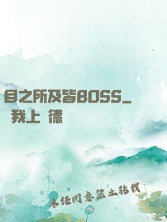 目之所及皆BOSS