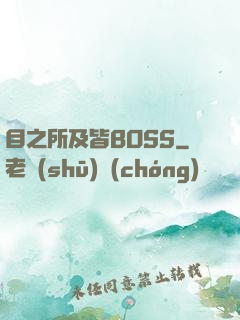目之所及皆BOSS