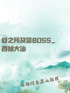 目之所及皆BOSS