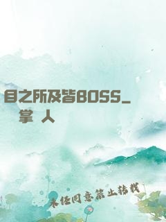 目之所及皆BOSS