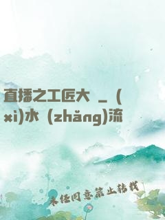 直播之工匠大師