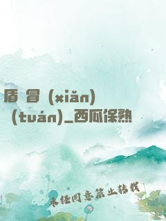 盾劍冒險(xiǎn)團(tuán)