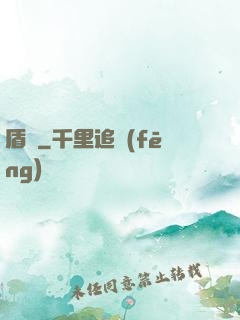 盾擊