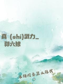 真實(shí)武力