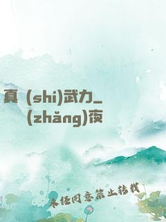 真實(shí)武力