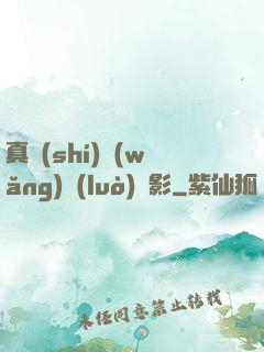 真實(shí)網(wǎng)絡(luò)電影