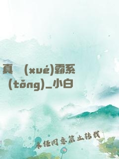 真實學(xué)霸系統(tǒng)