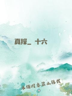 真探