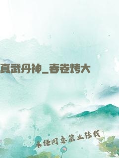 真武丹神