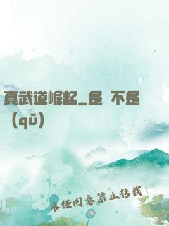 真武道崛起