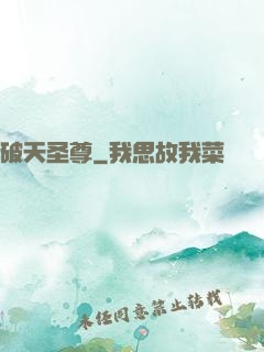 破天圣尊