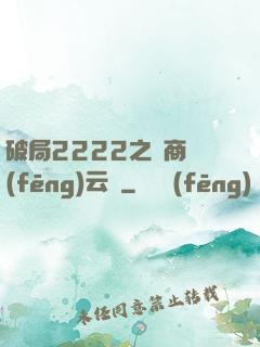 破局2222之電商風(fēng)云錄