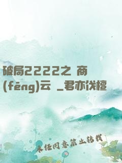 破局2222之電商風(fēng)云錄