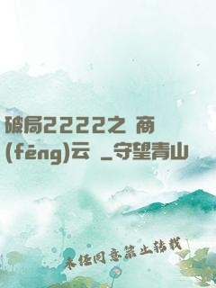 破局2222之電商風(fēng)云錄