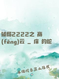 破局2222之電商風(fēng)云錄