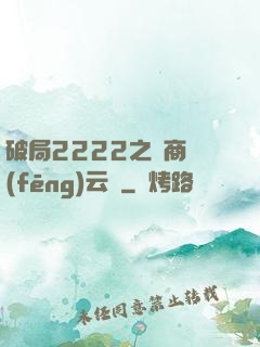 破局2222之電商風(fēng)云錄