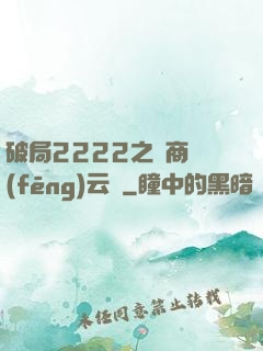 破局2222之電商風(fēng)云錄