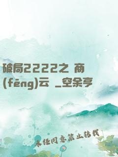 破局2222之電商風(fēng)云錄