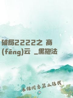 破局2222之電商風(fēng)云錄