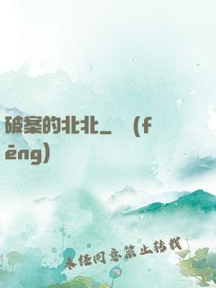 破案的北北