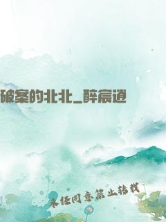 破案的北北