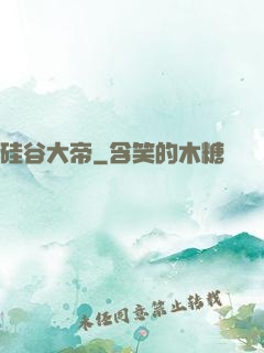 硅谷大帝