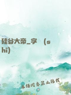 硅谷大帝